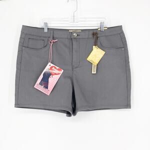 Hybrid & Company High Rise Gray Shorts Size 20